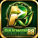 PAKWIN88 APK